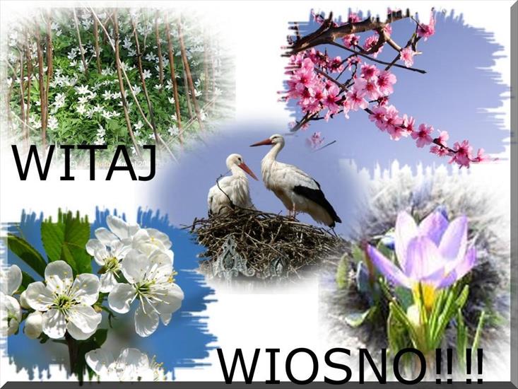 WIOSNA- - Wiosno_witaj.jpg